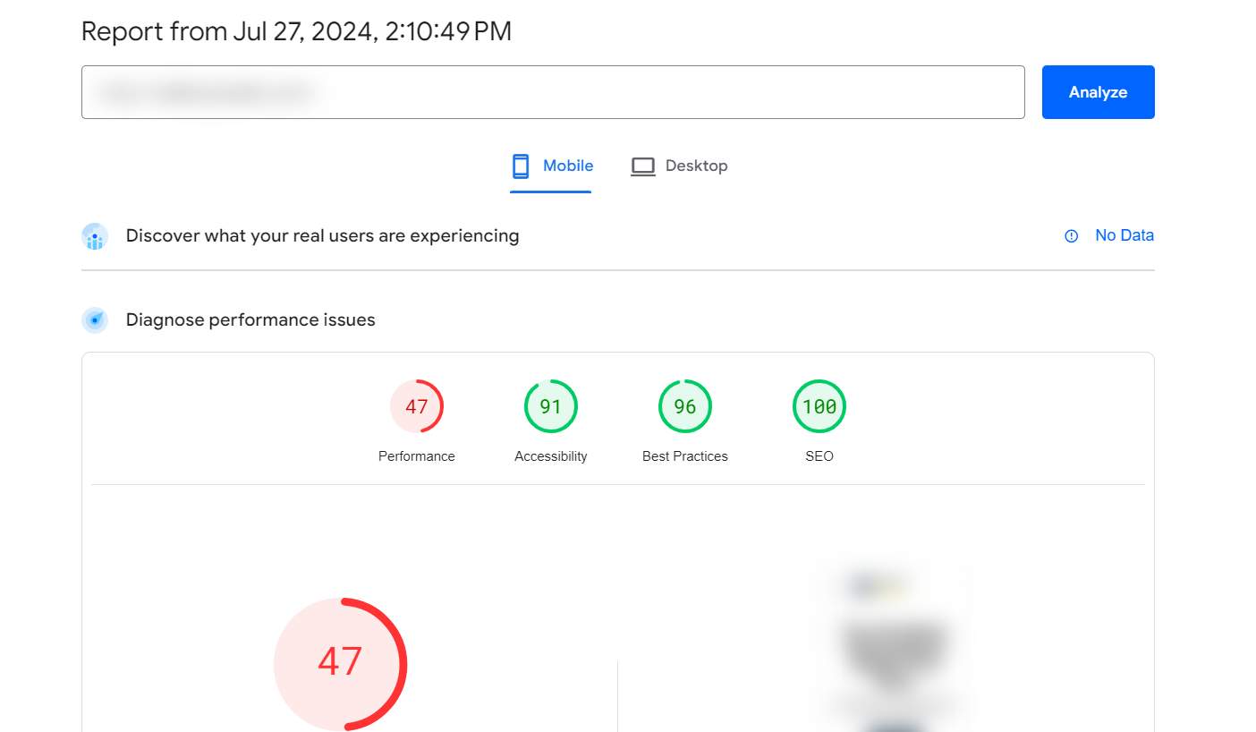 Google PageSpeed Insights analysis